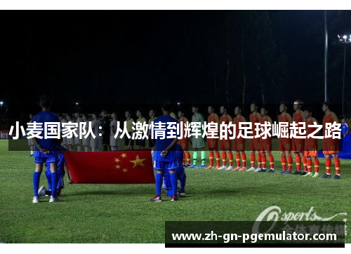 小麦国家队：从激情到辉煌的足球崛起之路
