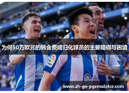 为何50万欧元的转会费成归化球员的主要障碍与困境