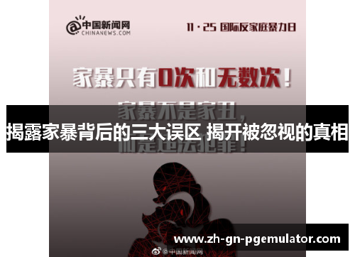 揭露家暴背后的三大误区 揭开被忽视的真相