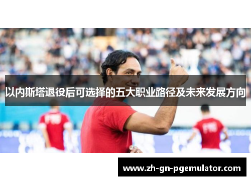 以内斯塔退役后可选择的五大职业路径及未来发展方向