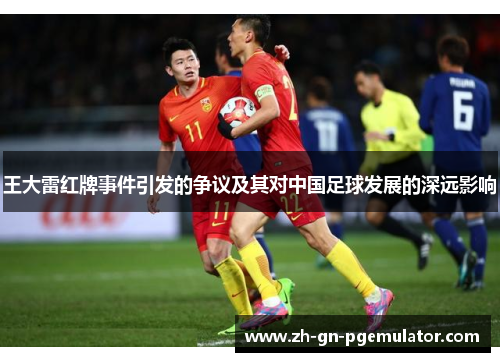 王大雷红牌事件引发的争议及其对中国足球发展的深远影响
