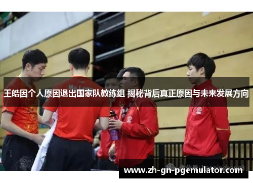 王皓因个人原因退出国家队教练组 揭秘背后真正原因与未来发展方向