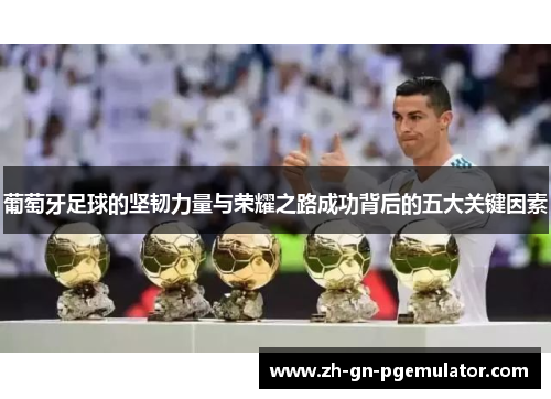 葡萄牙足球的坚韧力量与荣耀之路成功背后的五大关键因素