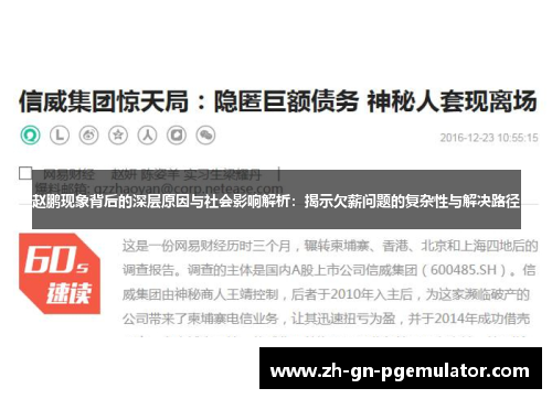 赵鹏现象背后的深层原因与社会影响解析：揭示欠薪问题的复杂性与解决路径