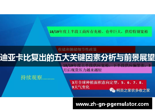 迪亚卡比复出的五大关键因素分析与前景展望