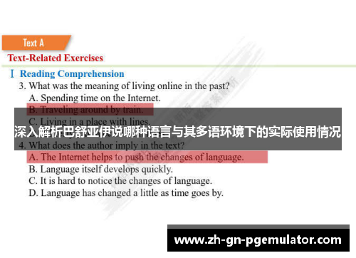 深入解析巴舒亚伊说哪种语言与其多语环境下的实际使用情况