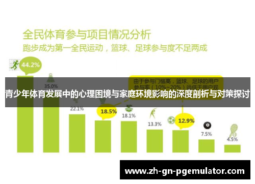 青少年体育发展中的心理困境与家庭环境影响的深度剖析与对策探讨