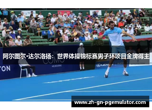 阿尔图尔·达尔洛扬:世界体操锦标赛男子环项目金牌得主 阿尔图尔·达尔洛扬:世界体操锦标赛男子环项目金牌得主
