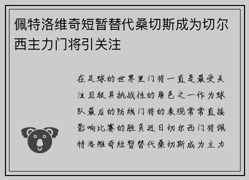 佩特洛维奇短暂替代桑切斯成为切尔西主力门将引关注
